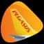Pegasus Airlines