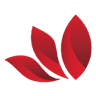 CyberLotus